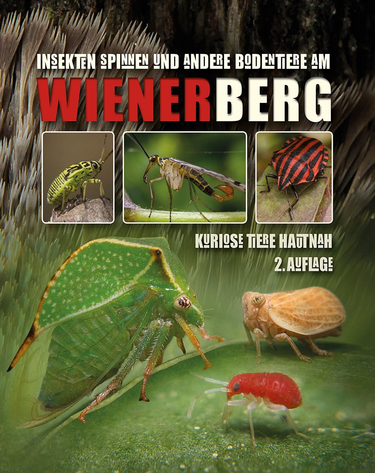 Tierbuch Wienerberg: Insekten Spinnen und andere Bodentiere am Wienerberg – kuriose Tiere hautnah 2. Auflage